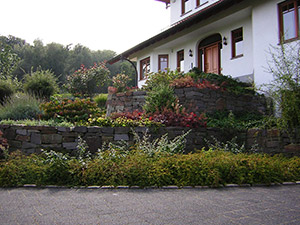 Mauer mit Pflanzen