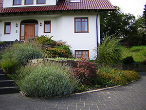 Mauer mit Pflanzen